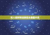 女人招财转运微信头像图片花，女人最适合的微信头像