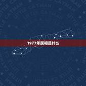 1977年属相是什么，请问1977年出生的是属什么