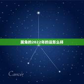 属兔的2022年的运怎么样，2022年属兔人运气