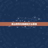 艮山坤向木局最旺什么属相，艮山坤向对应什么生肖