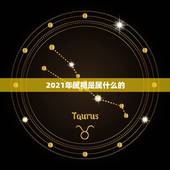 2021年属相是属什么的，2021年今天属什么生肖？