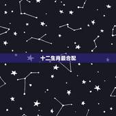十二生肖最合配，12生肖具体的配对，合适的与不合适的，详解