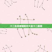 十二生肖婚姻配对大全十二属相，十二生肖属相婚姻相配