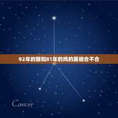 92年的猴和81年的鸡的属相合不合，92年属猴女和81年属鸡男，属相和