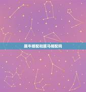 属牛婚配和属马相配吗，属马和属牛的可以在一起么？