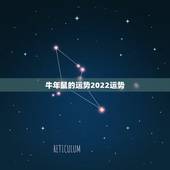 牛年鼠的运势2022运势，属鼠人2022 年每月运势