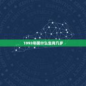 1993年属什么生肖几岁，1993年属什么生肖今年多大