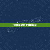 95年属猪27岁婚姻状况 95年属猪27岁命运