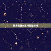 属兔配什么生肖最好婚姻，属兔的和什么属相相配才好呢