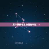 属牛佩戴老鼠的属相手链，属牛生肖带什么吉祥物手链与吊坠