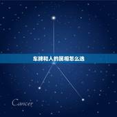 车牌和人的属相怎么选，生肖与车牌最佳搭配