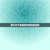 属牛双子座最配的属相星座的，双子座属马和什么星座的属相最配