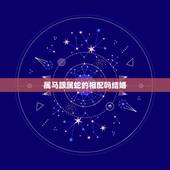 属马跟属蛇的相配吗结婚，属蛇与属马婚姻相配吗？