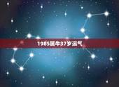 1985属牛37岁运气，1985属牛今年运势