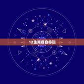 12生肖各自命运，12生肖动画片