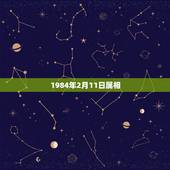 1984年2月11日属相，1984年农历2月11出生属鼠的人是什么星座