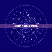 属鼠的人婚配是蛇怎样，属鼠和属蛇的怎么样