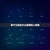 君子兰适合什么属相的人养殖，属相适合养什么植物好？