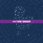 2021年哪个属相会好，77年属蛇女在2023年财运怎样？