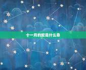 十一月的蛇是什么命，属蛇的几月女人命好