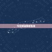 今日财运特吉生肖，今日特吉生肖百度