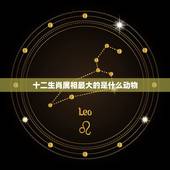 十二生肖属相最大的是什么动物，十二生肖中哪个生肖最大