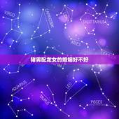 猪男配龙女的婚姻好不好，男属猪和女属龙婚姻相配吗