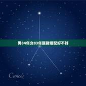 男84年女83年属猪婚配好不好，女方1983年属猪的和男方1984年属