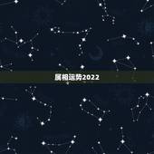 属相运势2022，2022年属猴人的运程