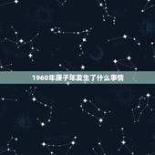 1960年庚子年发生了什么事情，中国庚子年大事件