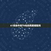 61年的牛和70年的狗男婚配吗，61年属牛的男人和70年属狗的女人能婚