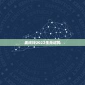 麦玲玲2022生肖运势，麦玲玲属马人2021年运势运程？