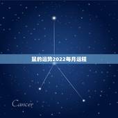 鼠的运势2022每月运程，鼠年运程的目录列表