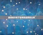 属虎的今年下半年的运势怎么样，1986属虎女财运
