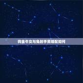 狗金牛女与兔射手男婚配如何，金牛座女（龙）和射手座男（兔）适合结婚吗？