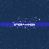 属羊和属鸡的婚姻匹配，93年属鸡27岁以后交运