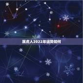 属虎人2022年运势如何，属虎2022年幸运色