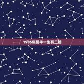 1985年属牛一生有二婚，1973年属牛一生婚姻是否二婚