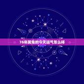 75年属兔的今天运气怎么样，75年属兔的男人今年运势怎样