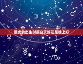 属虎的出生时辰白天好还是晚上好，属虎的晚上下雨生好不好