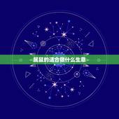 属鼠的适合做什么生意，属鼠38岁后有十年大运