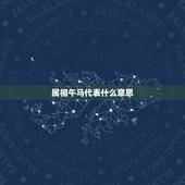 属相午马代表什么意思，属相午马是什么意思