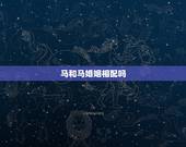 马和马婚姻相配吗，马和龙相配吗
