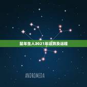 鼠年生人2021年运势及运程，鼠年运势2021运势详解