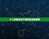 十二时辰出生不同的命运和属相，十二时辰对应的生肖是什么？