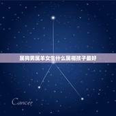 属狗男属羊女生什么属相孩子最好，属狗和属羊的生什么属相的孩子好？