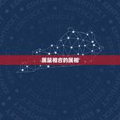 属鼠相合的属相，鼠和什么生肖相冲