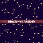 属相猪适合找什么样属相的对象，猪和什么属相最配