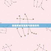 爸爸属猪宝宝属马属相合吗，属马的跟什么属相犯冲