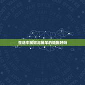 生活中属蛇与属羊的婚配好吗，属蛇的和属羊的在一起婚姻好吗